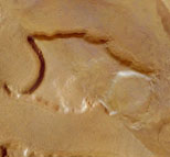 photo of mars